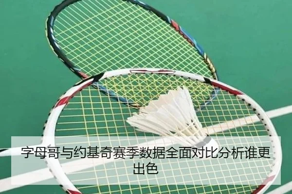 字母哥与约基奇赛季数据全面对比分析谁更出色
